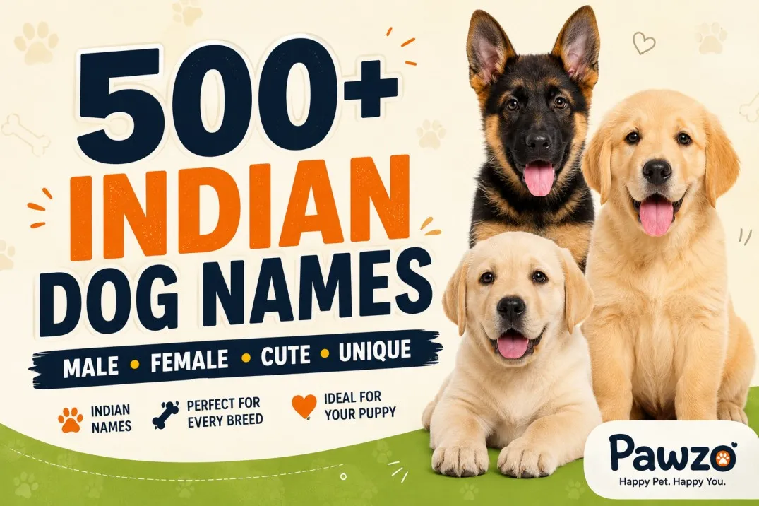 500+ Indian Dog Names (Male, Female, Unique & Cute Names) 2026